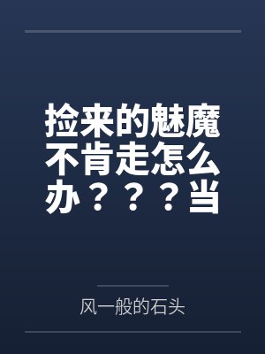 天下无我这般小二封面
