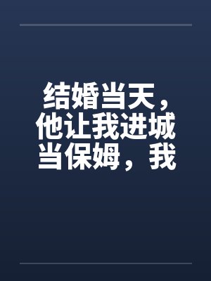 焰火坠落之前在线观看封面